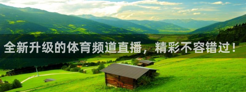 全新升级的体育频道直播，精彩不容错过！