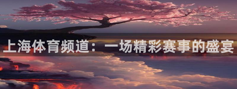 上海体育频道：一场精彩赛事的盛宴