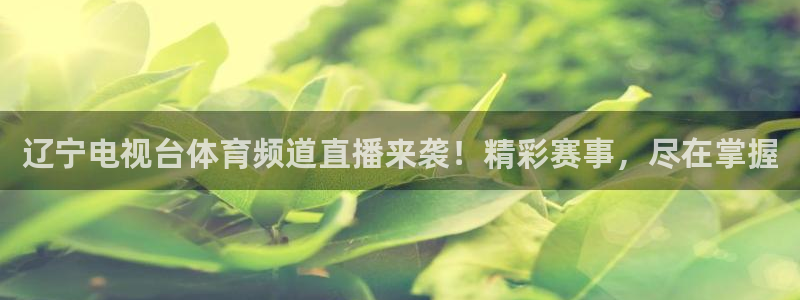 辽宁电视台体育频道直播来袭！精彩赛事，尽在掌握