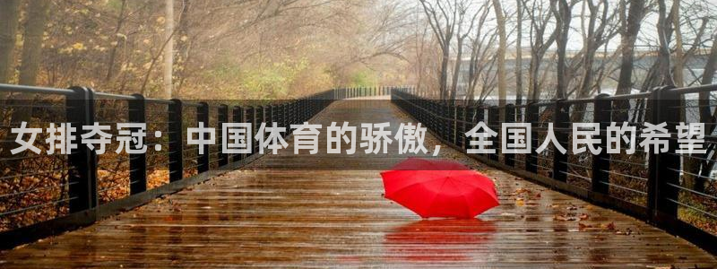 女排夺冠：中国体育的骄傲，全国人民的希望