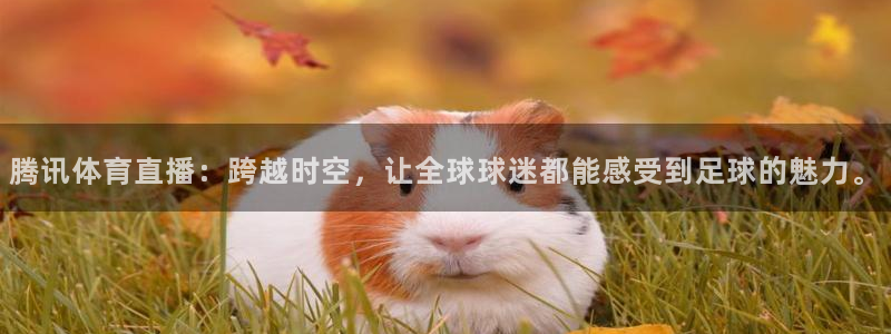 腾讯体育直播：跨越时空，让全球球迷都能感受到足球的魅力。