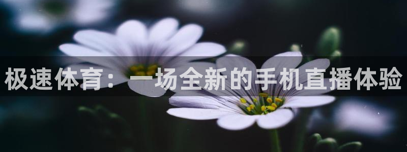 极速体育：一场全新的手机直播体验