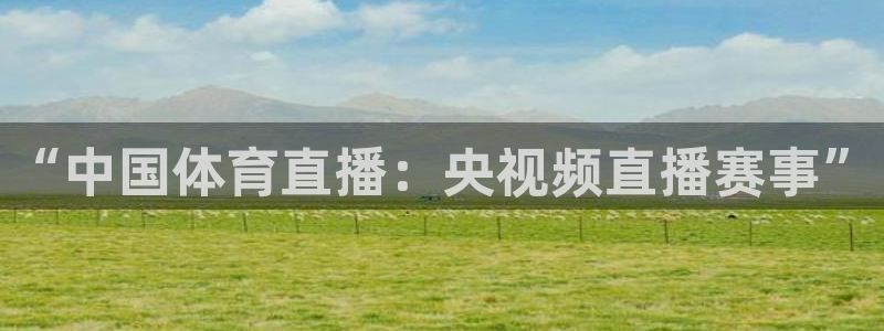 “中国体育直播：央视频直播赛事”