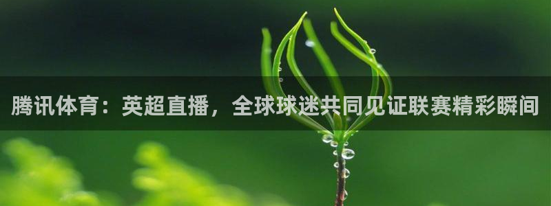 腾讯体育：英超直播，全球球迷共同见证联赛精彩瞬间