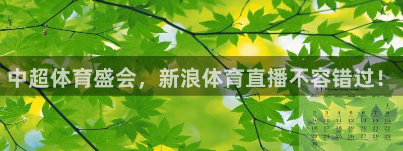 中超体育盛会，新浪体育直播不容错过！