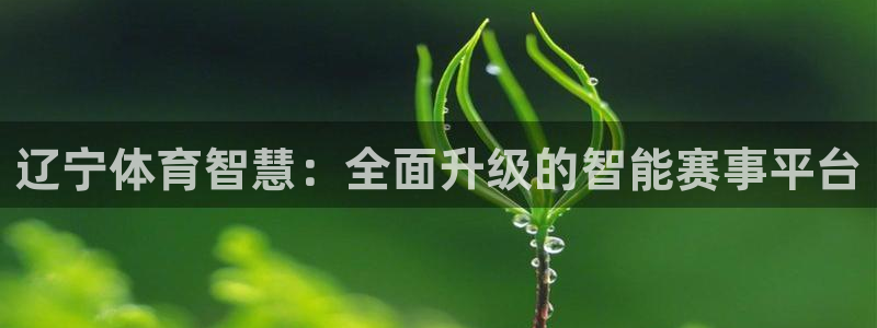 辽宁体育智慧：全面升级的智能赛事平台