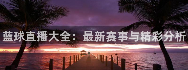 蓝球直播大全：最新赛事与精彩分析