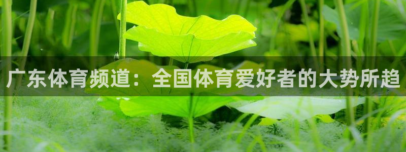 广东体育频道：全国体育爱好者的大势所趋