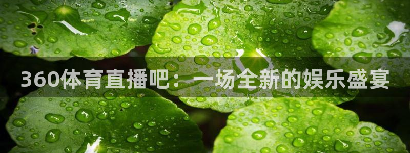 360体育直播吧：一场全新的娱乐盛宴