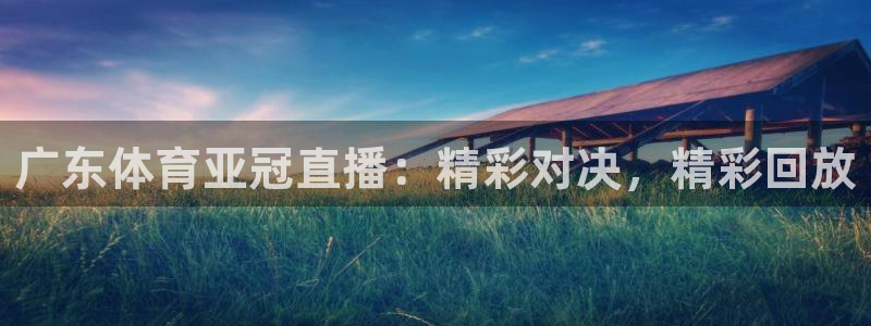 广东体育亚冠直播：精彩对决，精彩回放
