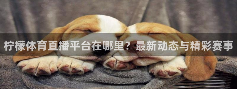 柠檬体育直播平台在哪里？最新动态与精彩赛事
