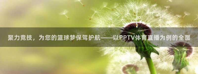 聚力竞技，为您的篮球梦保驾护航——以PPTV体育直播为例的全面